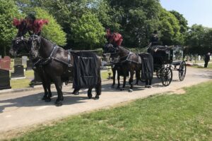 Horse drawn x 4